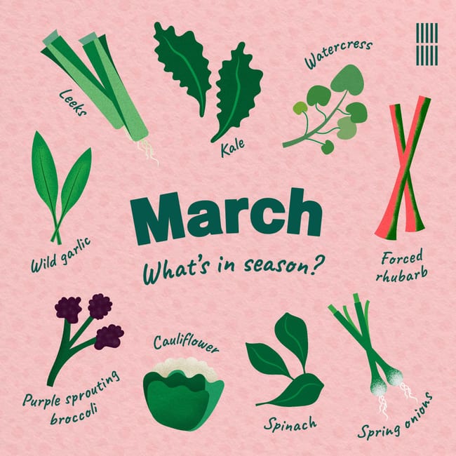 A designed social card showcasing what fruit and vegetables are in season for March. In the centre are the words 'March. What's in season?'. Surrounding the text there are illustrations of leeks, kale, watercress, forced rhubarb, spring onions, spinach, cauliflower, purple sprouting broccoli, wild garlic.