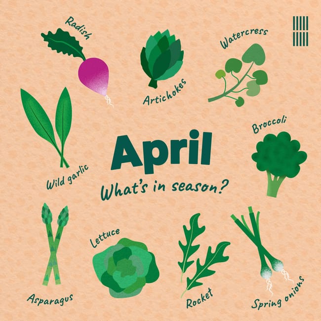 A designed social card showcasing what fruit and vegetables are in season for April. In the centre are the words 'April. What's in season?'. Surrounding the text there are illustrations of radish, artichokes, watercress, broccoli, spring onions, rocket, lettuce, asparagus, wild garlic.