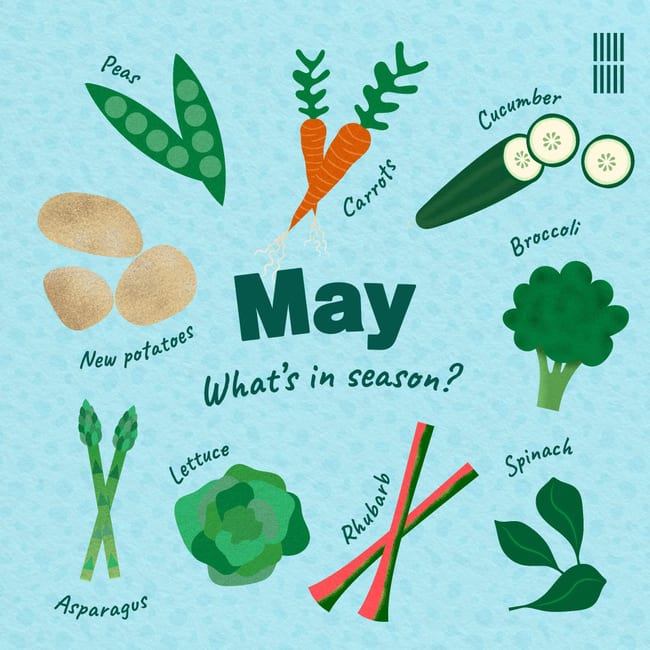 A designed social card showcasing what fruit and vegetables are in season for May. In the centre are the words 'May. What's in season?'. Surrounding the text there are illustrations of peas, carrots, cucumber, broccoli, spinach, rhubarb, lettuce, asparagus, new potatoes.
