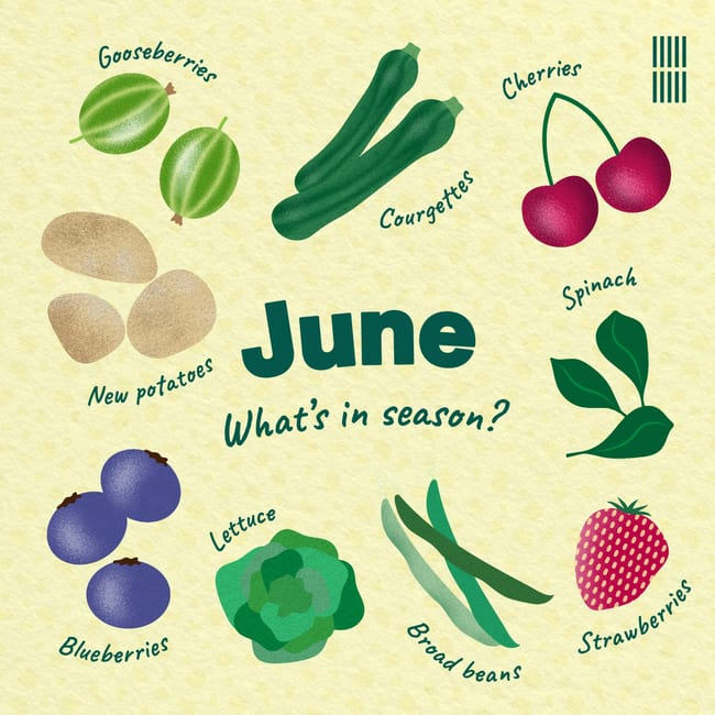 A designed social card showcasing what fruit and vegetables are in season for June. In the centre are the words 'June. What's in season?'. Surrounding the text there are illustrations of gooseberries, courgette, cherries, spinach, strawberries, broad beans, lettuce, blueberries, new potatoes.