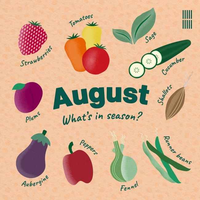 A designed social card showcasing what fruit and vegetables are in season for August. In the centre are the words 'August. What's in season?'. Surrounding the text there are illustrations of tomatoes, sage, cucumber, shallots, runner beans, fennel, peppers, aubergine, plum, strawberries.