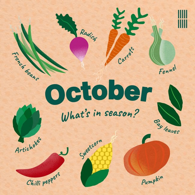 A designed social card showcasing what fruit and vegetables are in season for October. In the centre are the words 'October. What's in season?'. Surrounding the text there are illustrations of french beans, radish, carrots, fennel, bay leaves, pumpkin, sweetcorn, chilli peppers, artichokes.