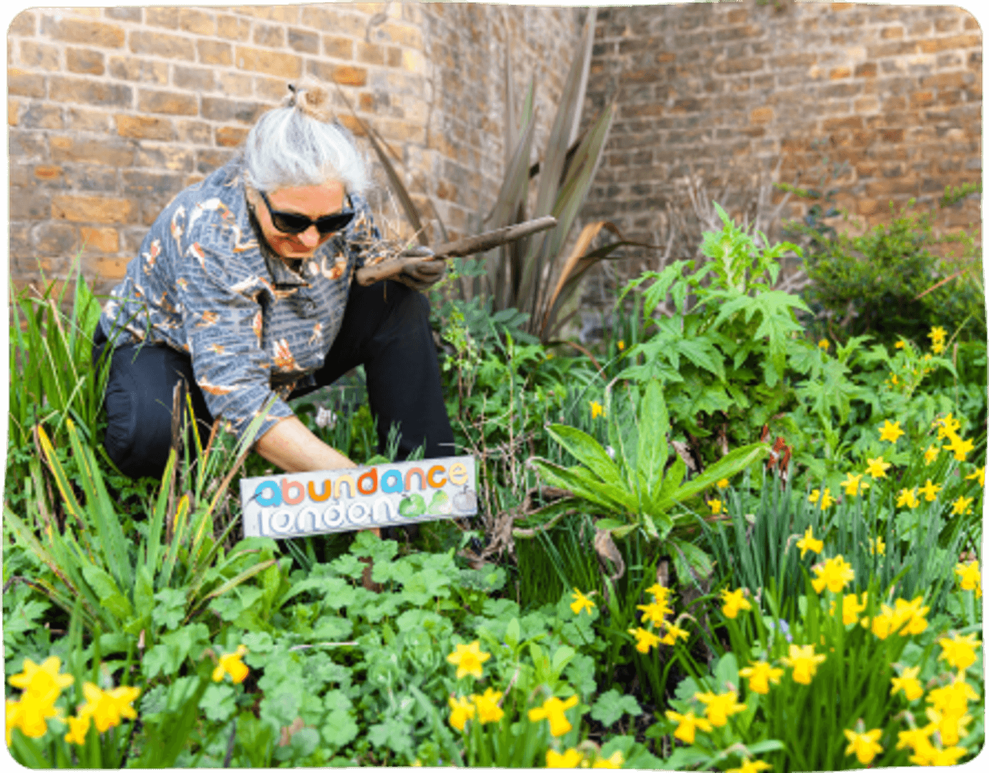 Someone crouching down amongst a bed of plants and flowers,
