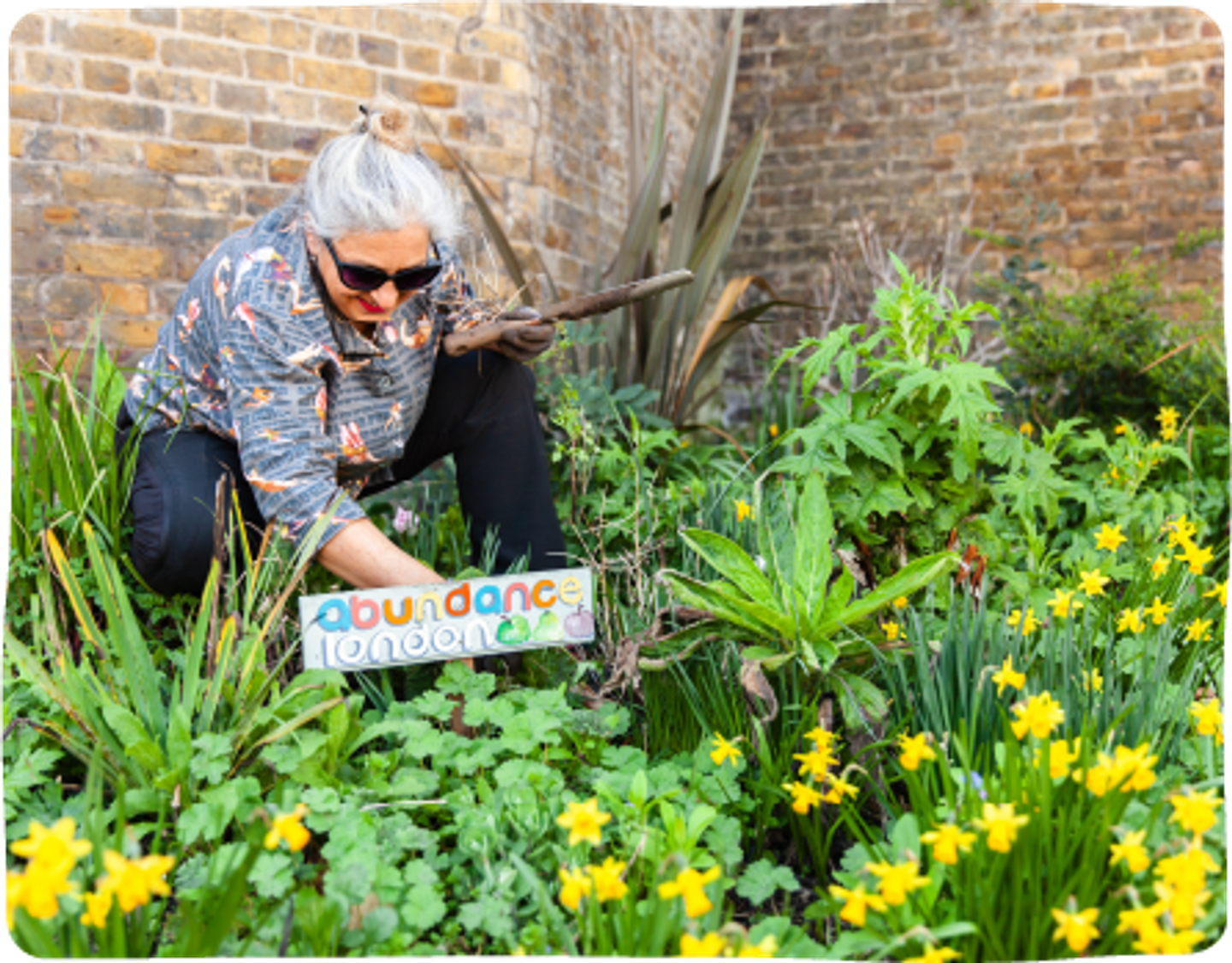 Someone crouching down amongst a bed of plants and flowers,