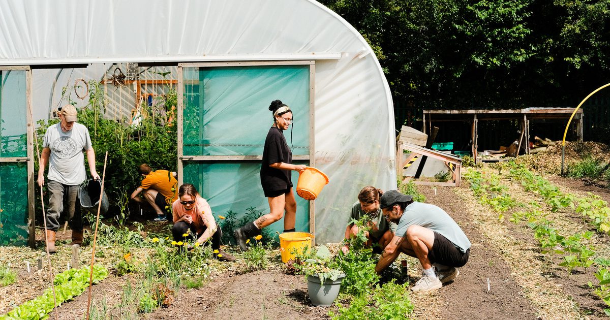 Hubbub Network Community Nature Network - Hubbub