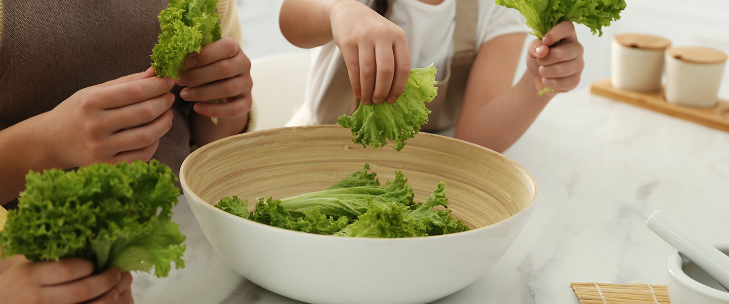Hubbub Food How to grow your own lettuce - Hubbub