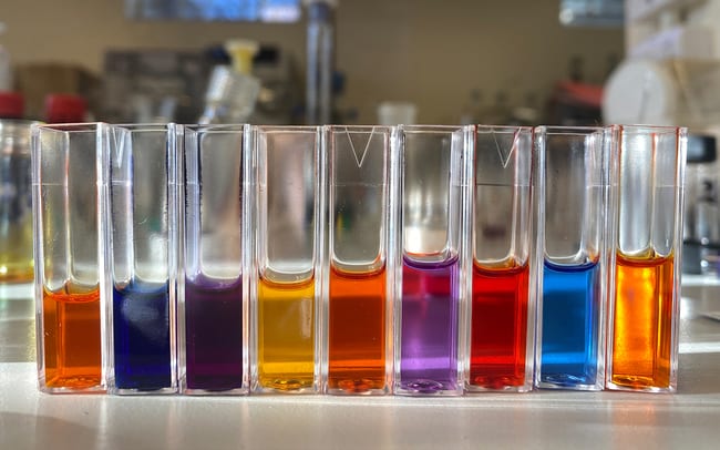 A line of test tubes all containing various levels of different coloured liquid.