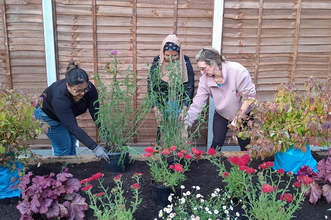 A group of three women planting herbs and flowers in a colourful flower bed
