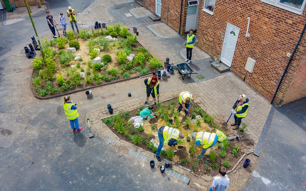 Aerial view of people in the community coming together and gardening at a Nature Hub in a residential area